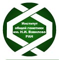 Логотип ИОГен